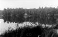 Pohled na Staňkovský rybník  od kempu Oáza.